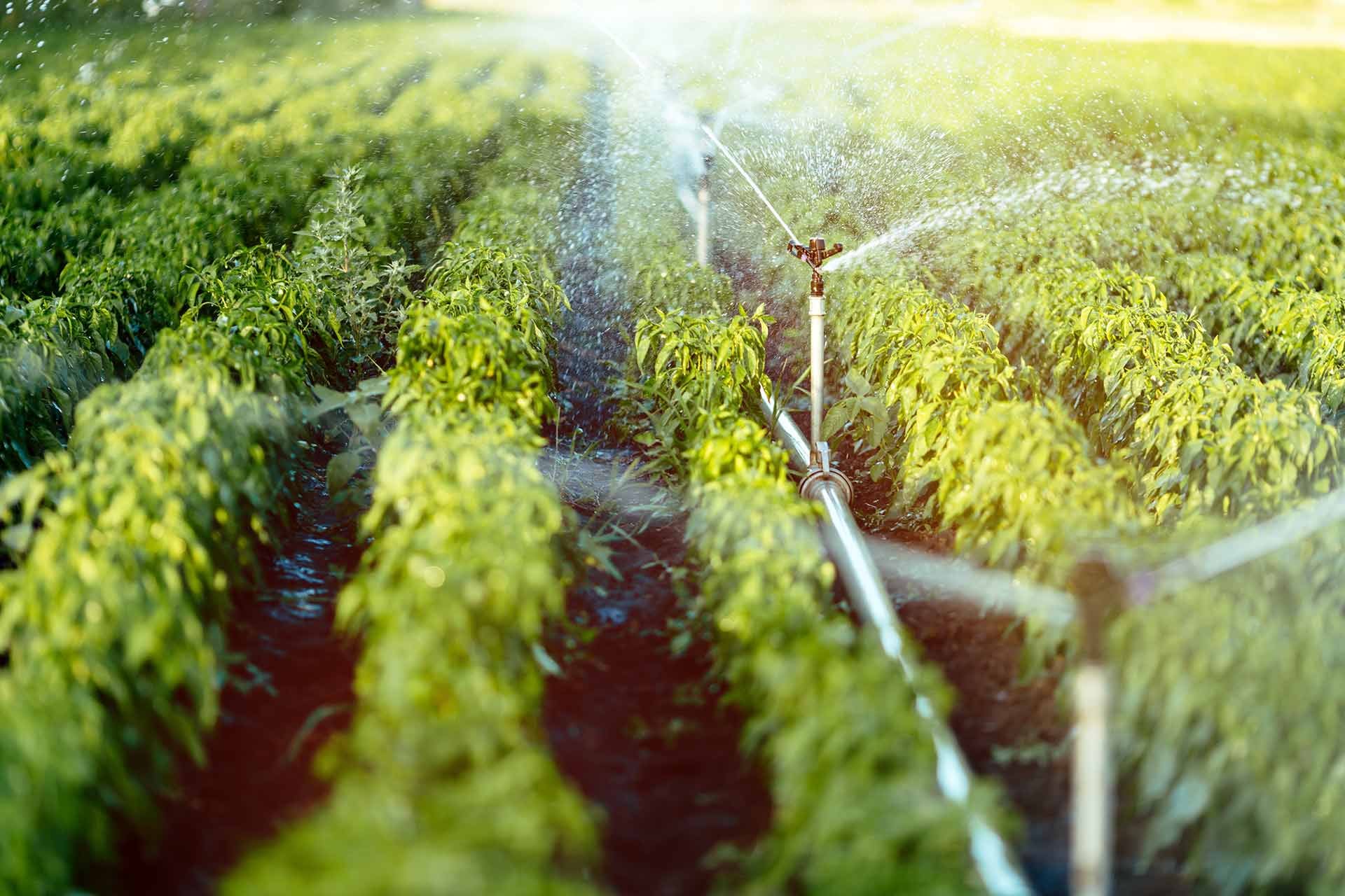 Expert Drainage Services in Springtown , TX from a Trusted Local Company