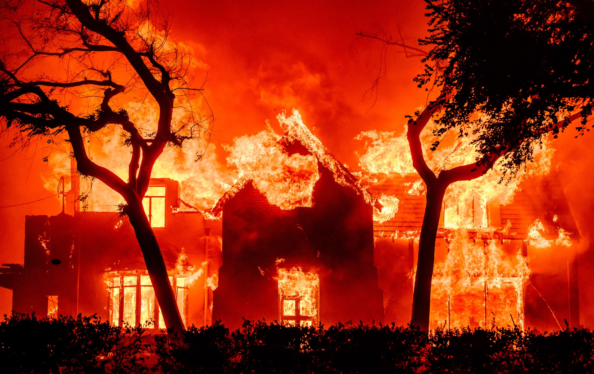 Wildfire Events | Creating Magical Birthday Parties &amp; Holiday Camps for Kids