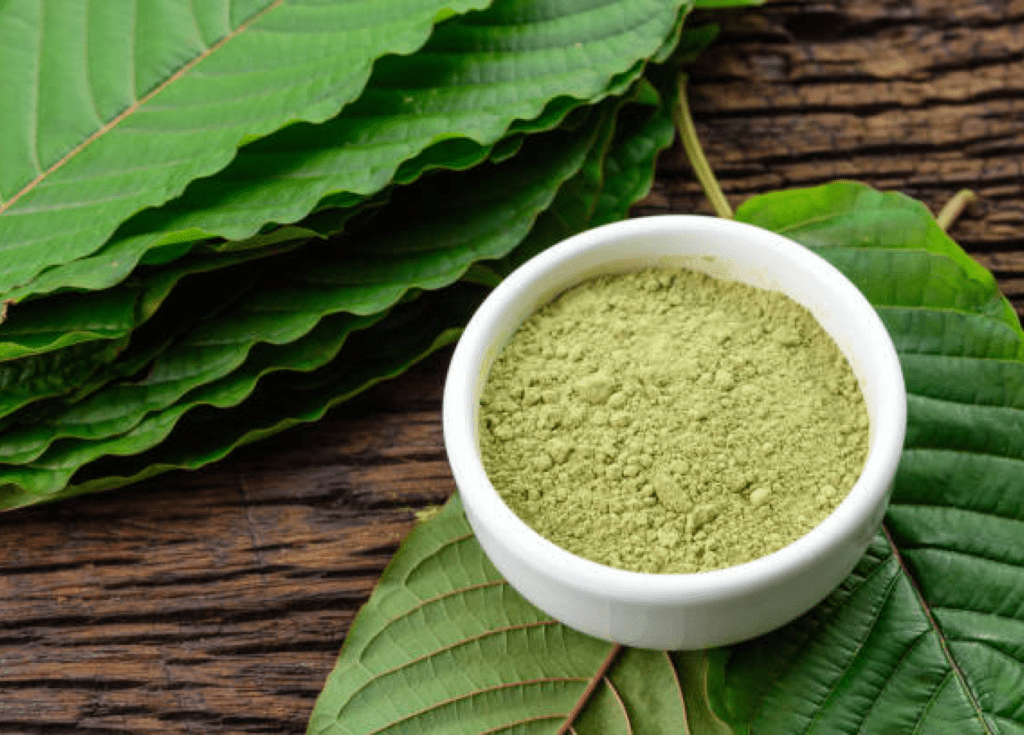 Exploring Chiang Mai’s Best Spots for Traditional Thai Kratom Tea